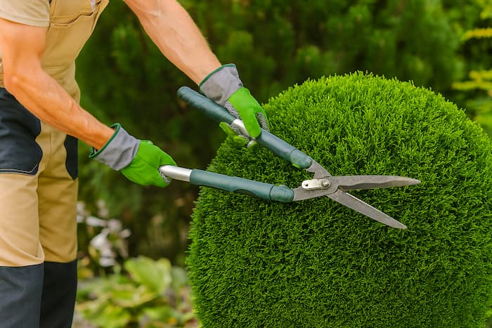 Pielęgnacja — podmień zdjęcie