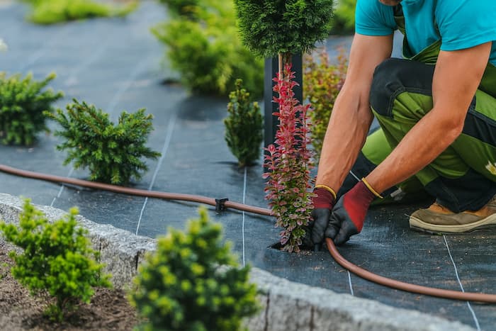 Systemy nawadniania — podmień zdjęcie